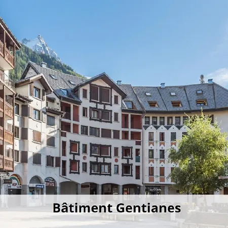 L'Aiguille - Maeva Home - Appartement 2 Pieces 4 Personnes Exclusive Mae-1386 Apartment Chamonix